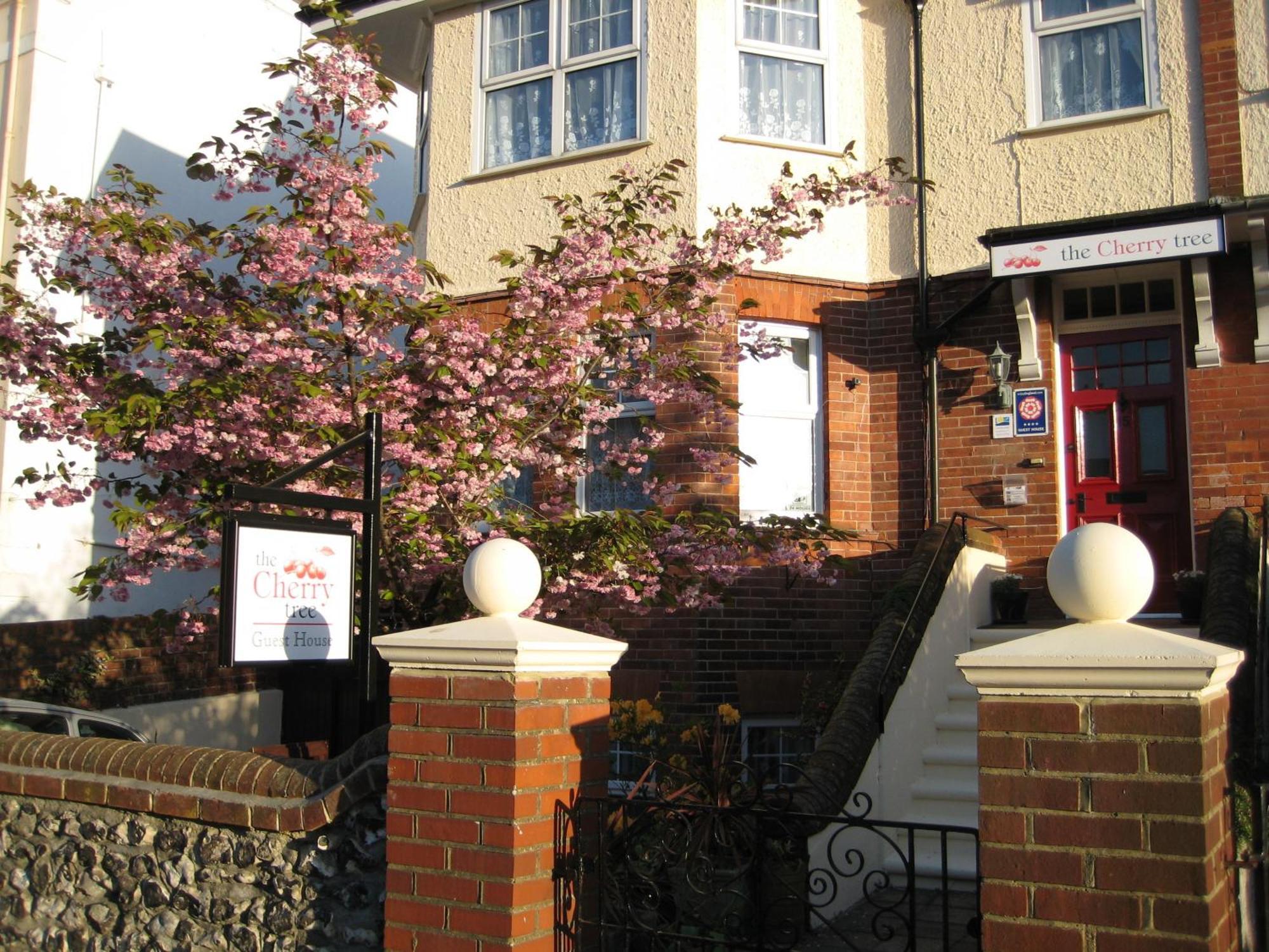 The Cherry Tree Guest House Eastbourne Eksteriør billede
