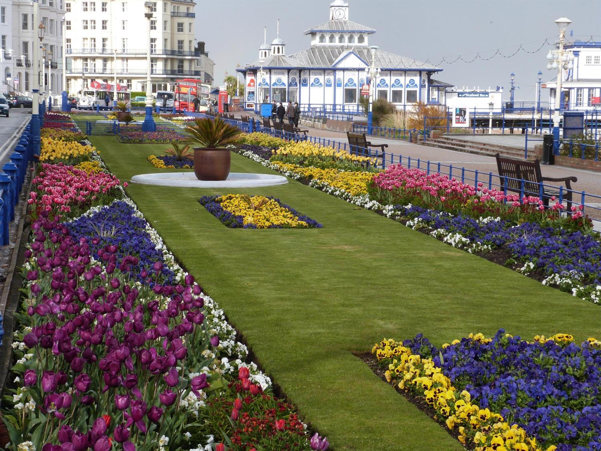 The Cherry Tree Guest House Eastbourne Eksteriør billede