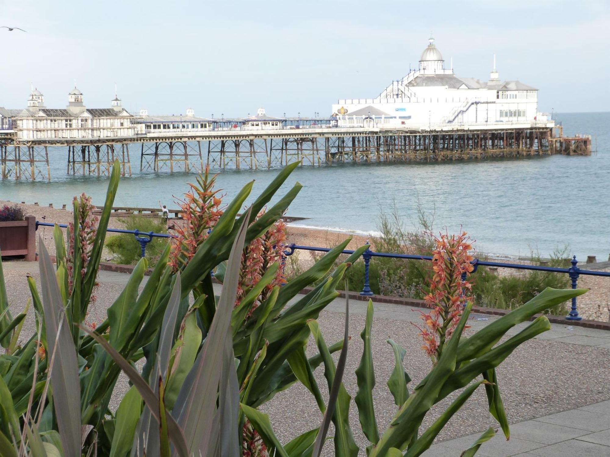 The Cherry Tree Guest House Eastbourne Eksteriør billede
